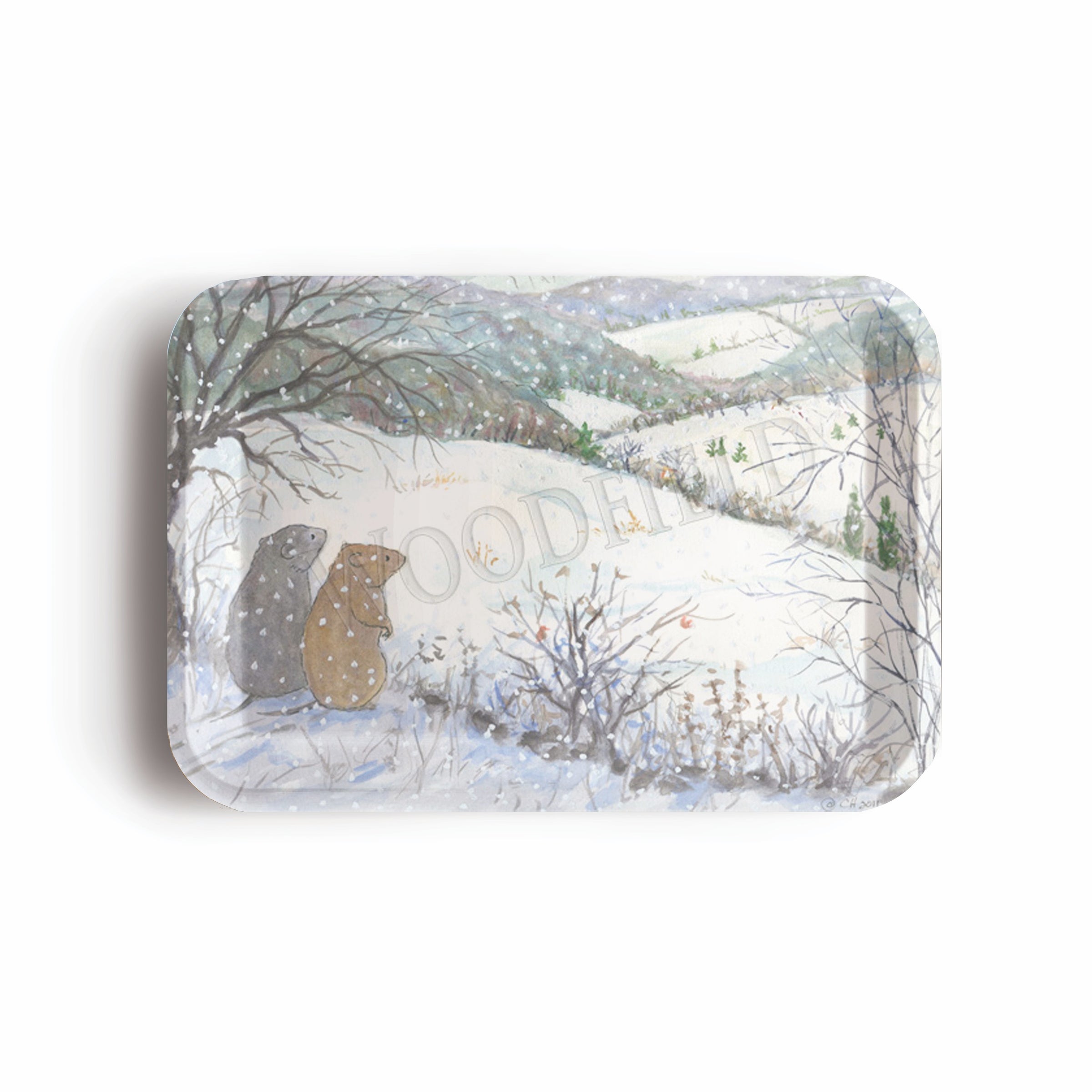Large Rectangular Tray
