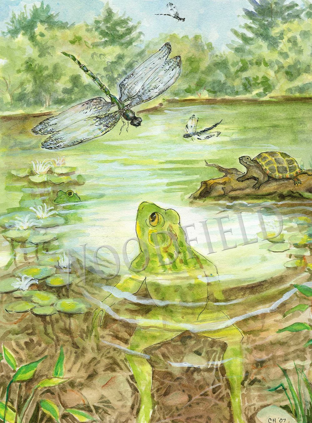 #2018 - Lily Pond Print - #2018G