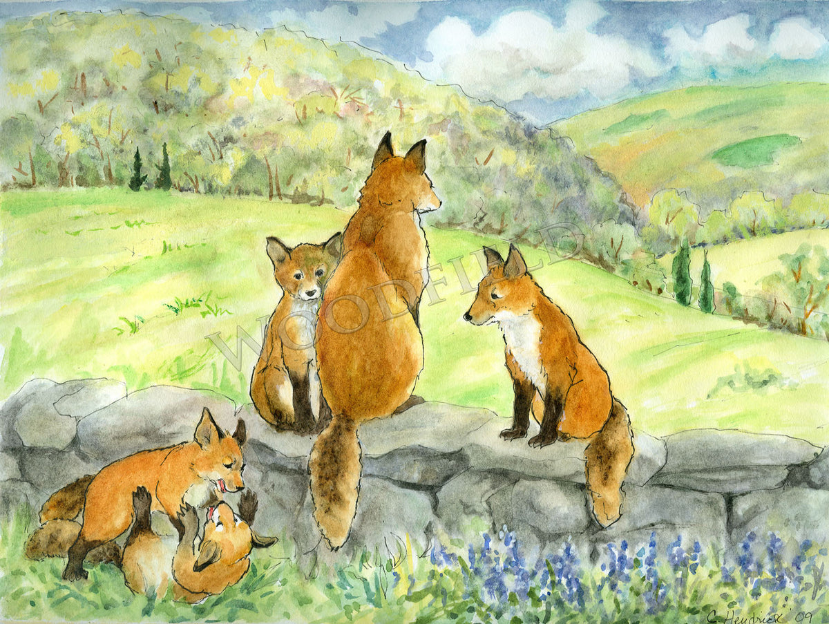 Item 19 Spring Foxes Notecard image