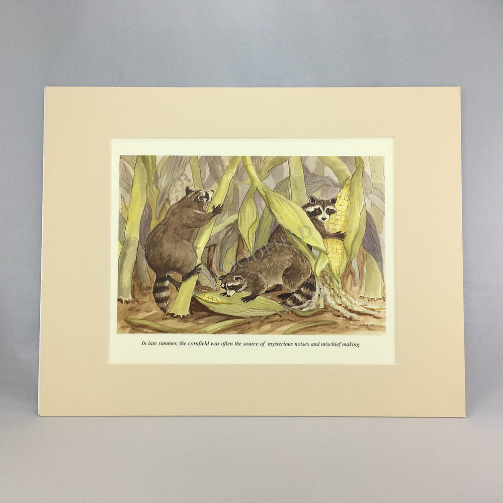 #2301 - Racoons in Corn Print - #2301G