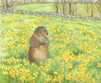 #7023 - Daffodil Meadow Magnetic Notepad
