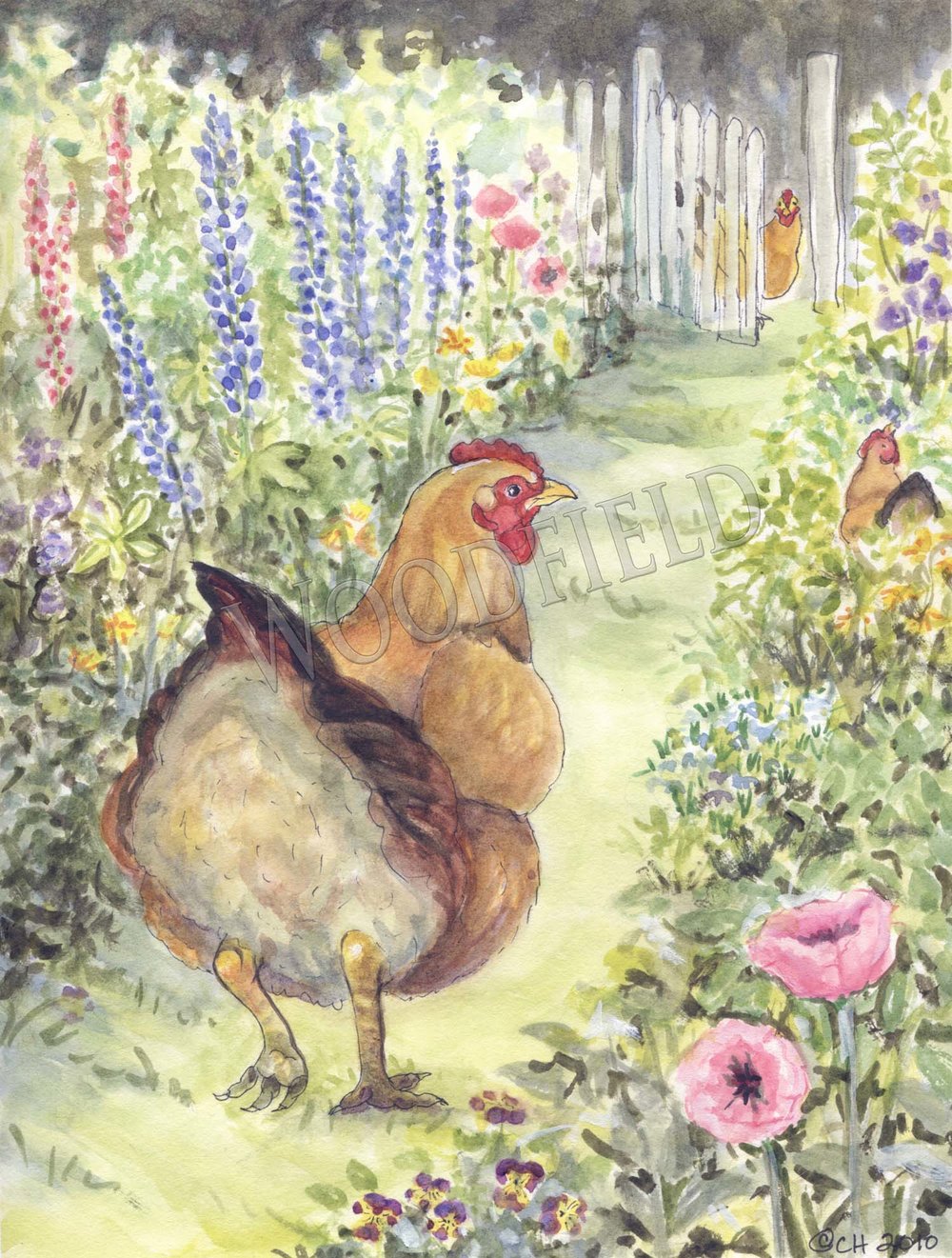 #2295 - Garden Hen Print - #2995G