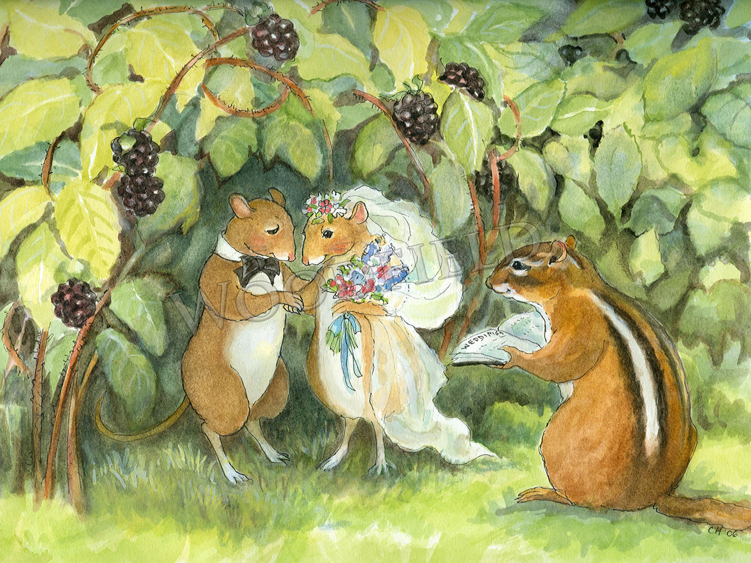 Item 319 Mouse and Wife Notecard image