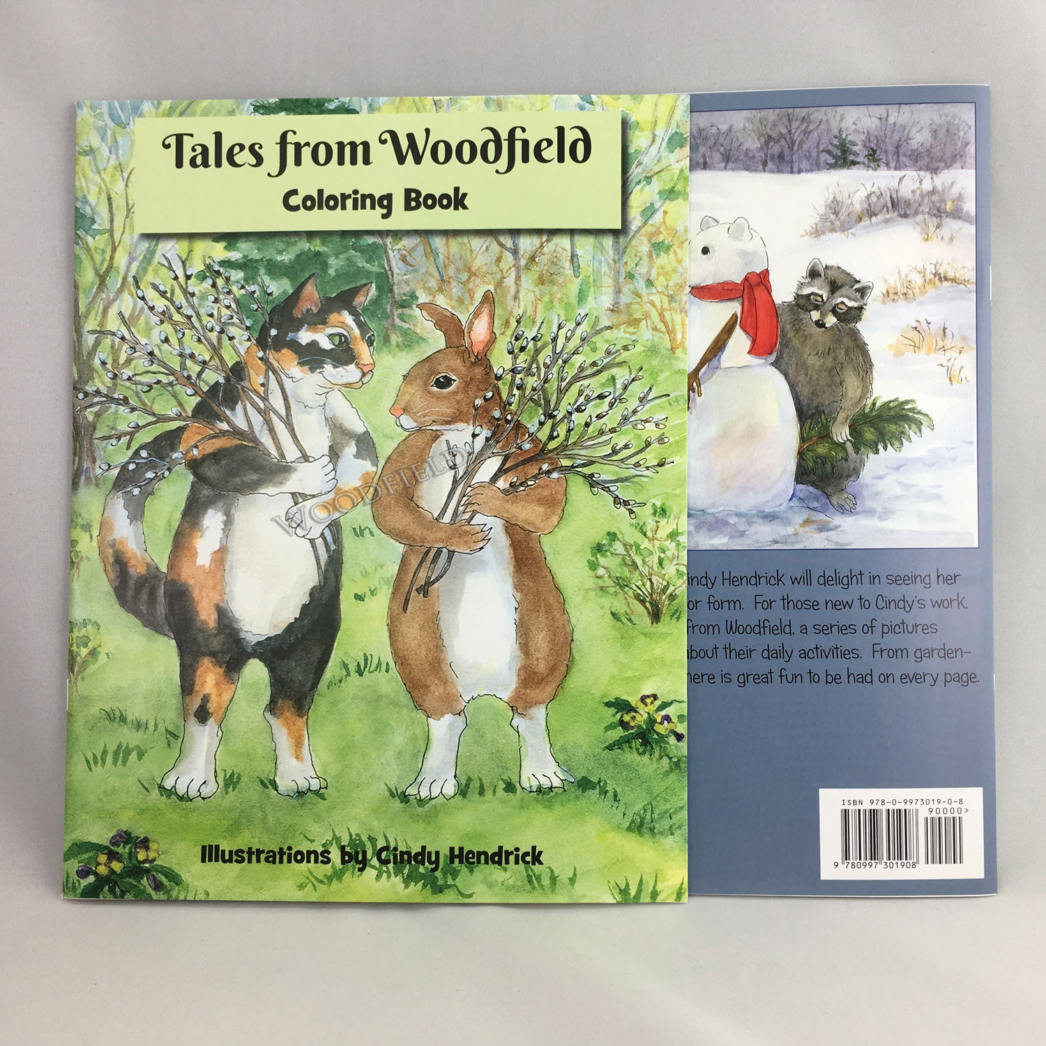 Item 4000 Tales From Woodfield Coloring Book front and back