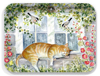 Large Rectangular Tray