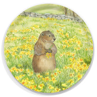 15.7" Round Tray