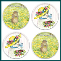 15.7" Round Tray