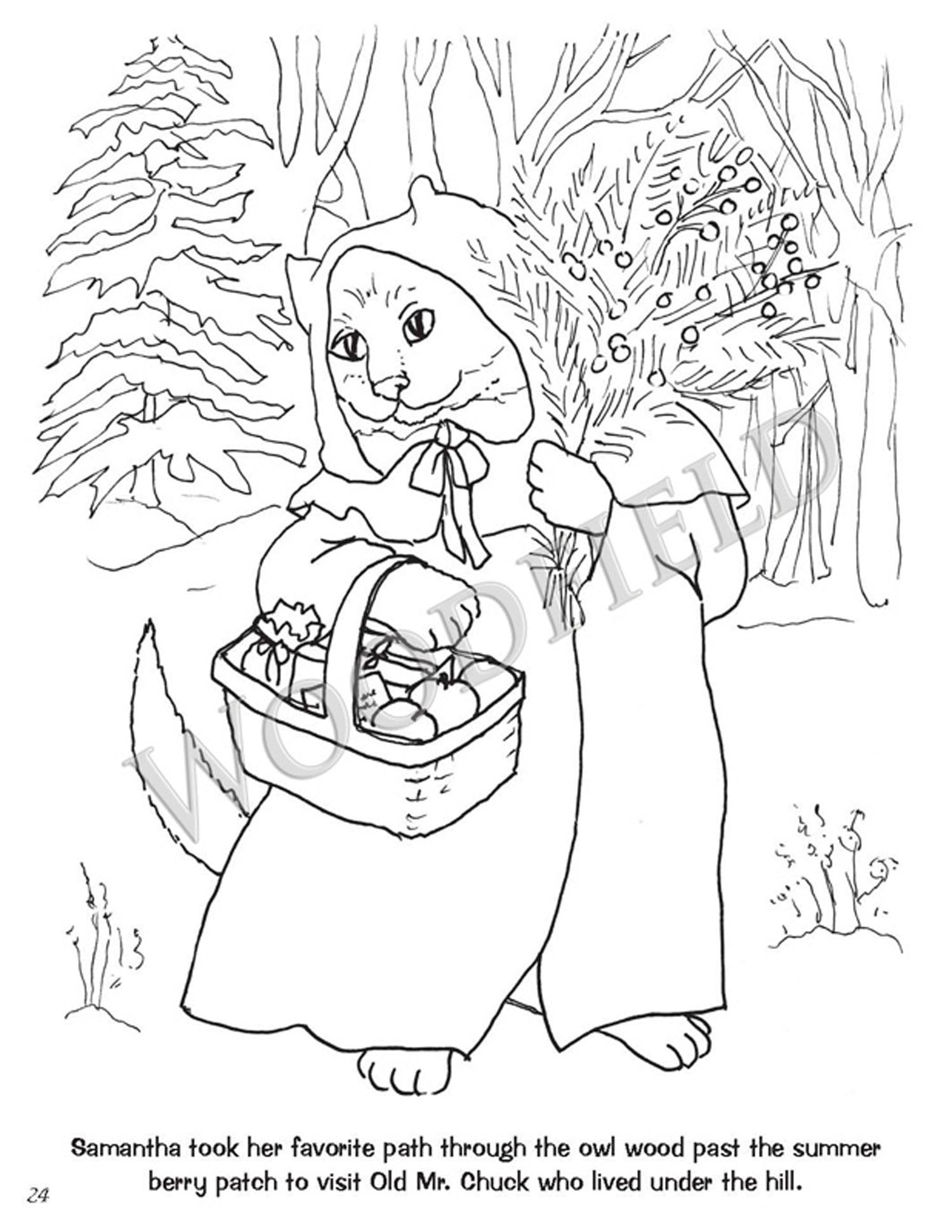 #4000 - Tales from Woodfield Coloring Book