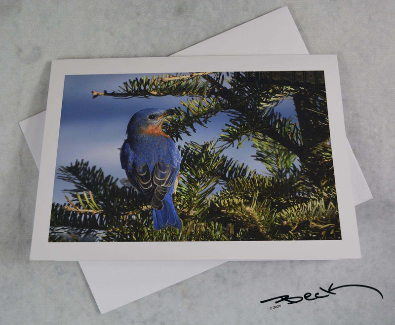 B9204G "Solstice Blue" Giclee Notecard - Special Order
