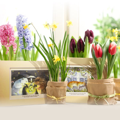 footer image of flowers and prints woodfield