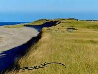 B9200G "Dune Shadow" Giclee Notecard - Special Order