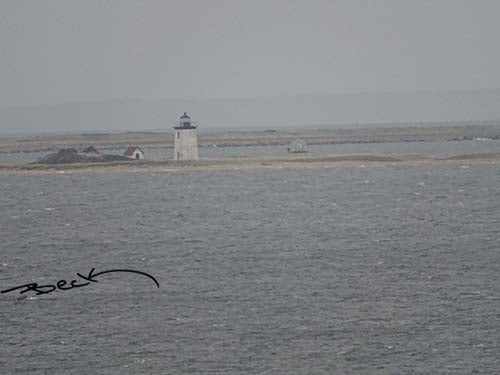 B9201G "Long Point" Giclee Notecard - Special Order