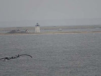 B9201G "Long Point" Giclee Notecard - Special Order