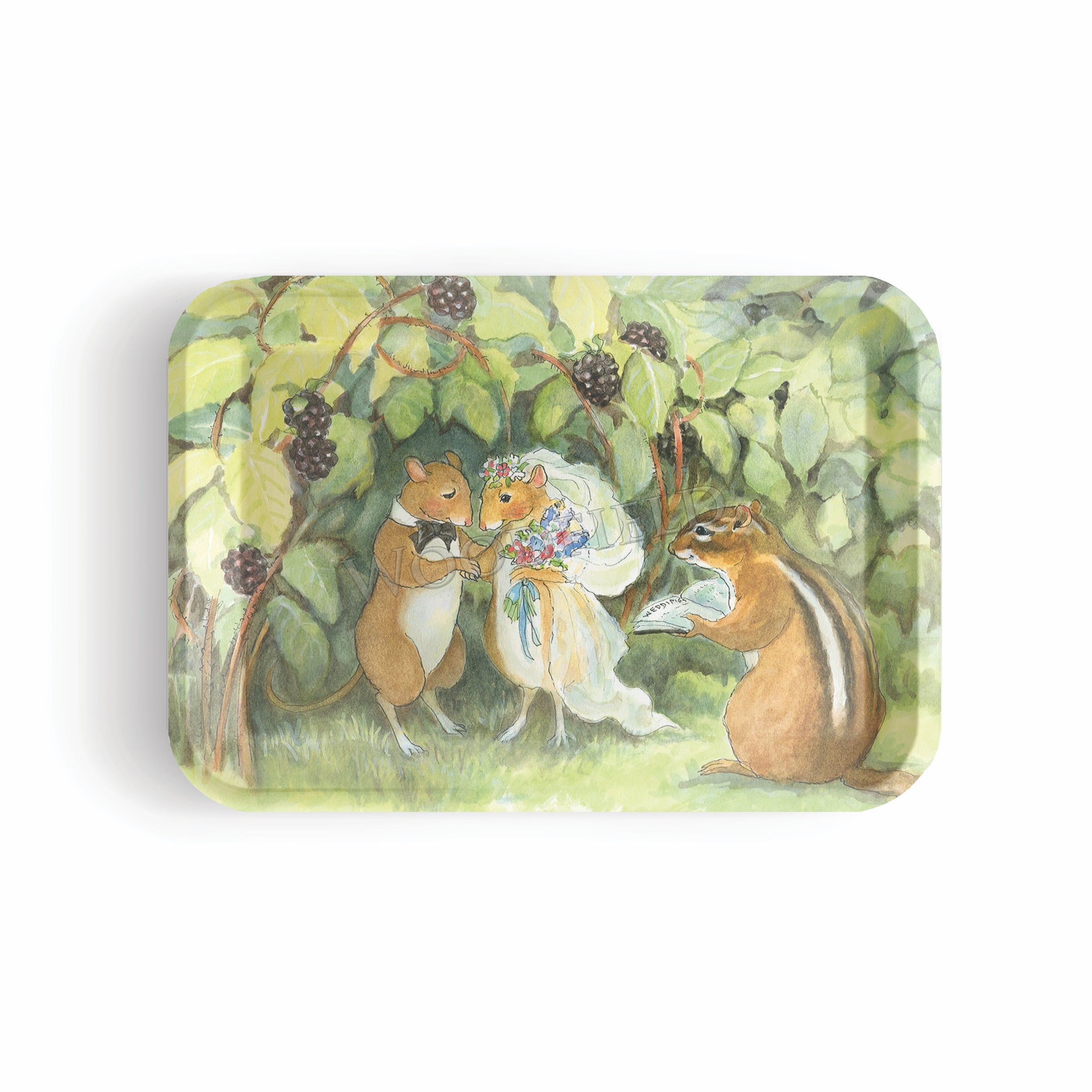 Large Rectangular Tray