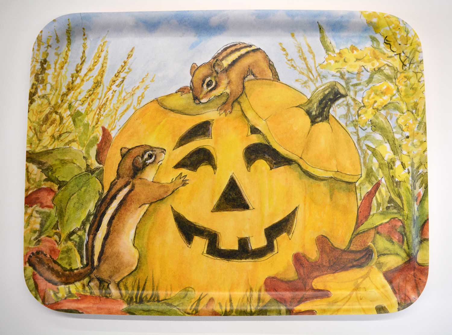 Large Rectangular Tray