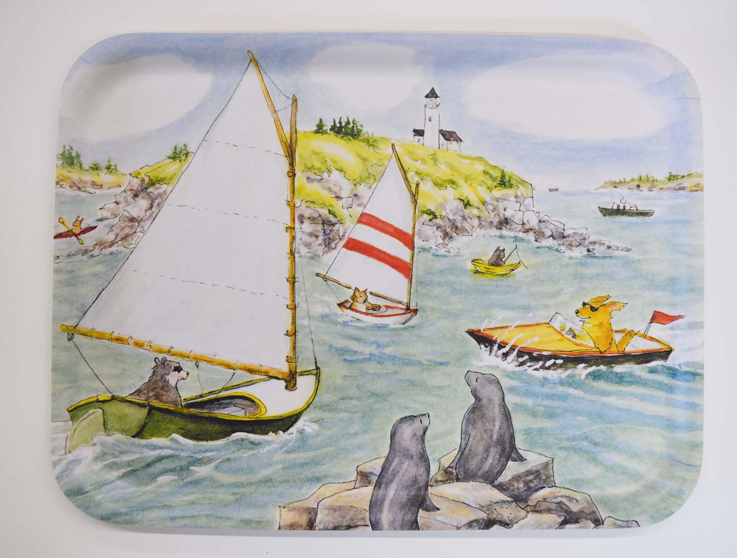 Large Rectangular Tray