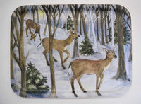 Large Rectangular Tray