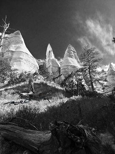 B9206G "Tent Rocks" Giclee Notecard - Special Order
