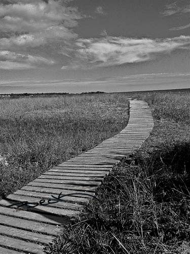 B9203G "The Way" Giclee Notecard - Special Order