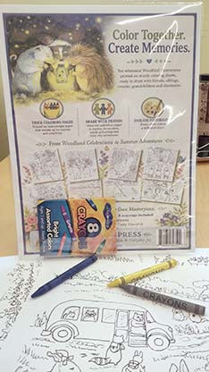 Woodfield Coloring Kit - Henrietta's Favorites!