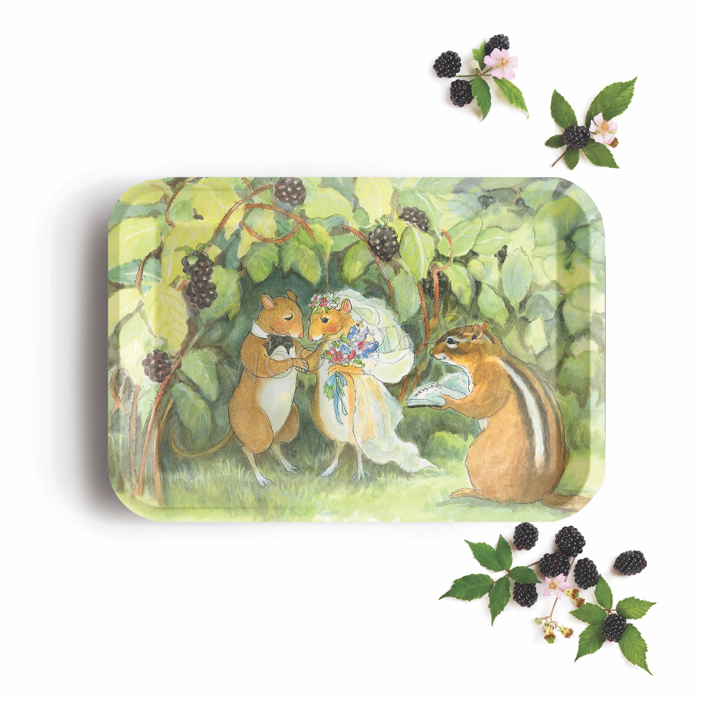 Large Rectangular Tray