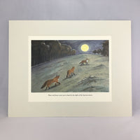 Item 2307 Foxes Moonlight Print