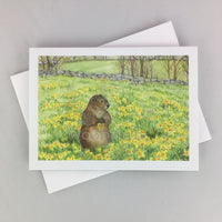 #23 - Daffodil Meadow Notecard
