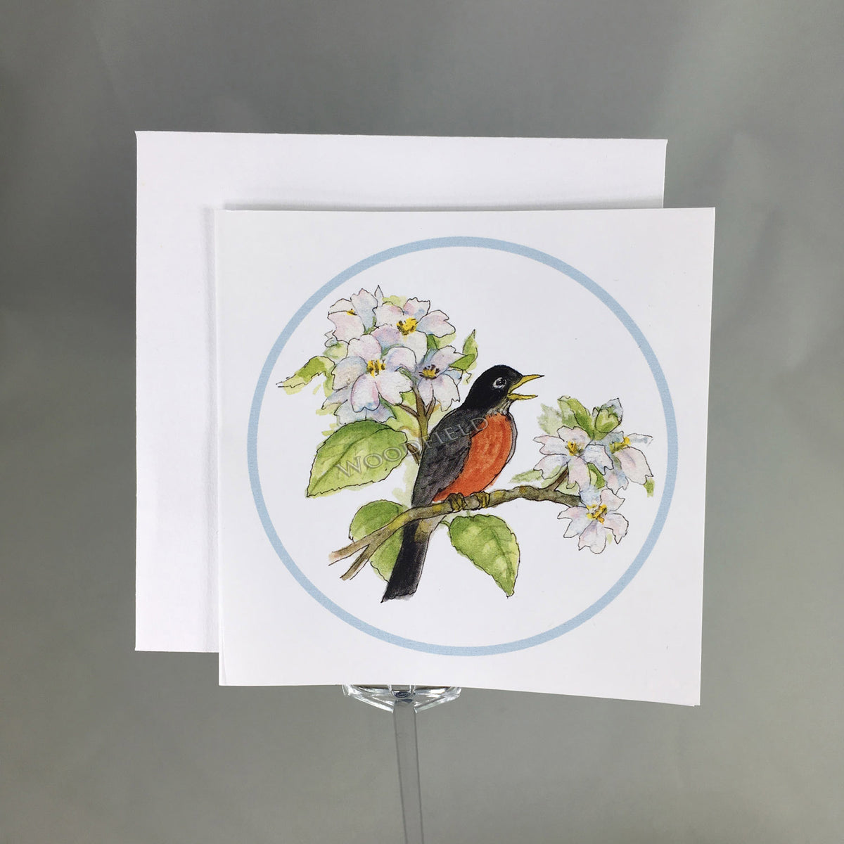 #6002B - Robin Song Enclosure Cards