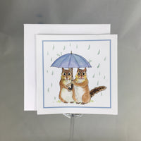 #6008B - Raindrops Enclosure Cards