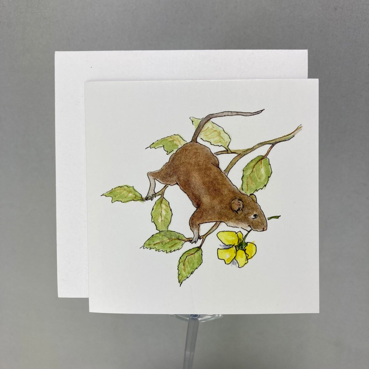 #6020B - Buttercup Enclosure Cards